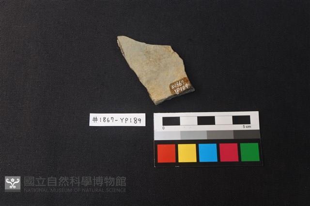 陶片藏品圖，第2張