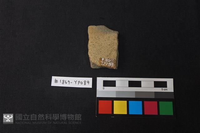 陶片藏品圖，第2張