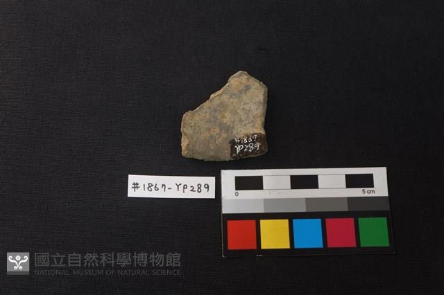 陶片藏品圖，第2張