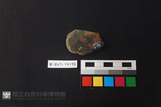陶片藏品圖，第2張