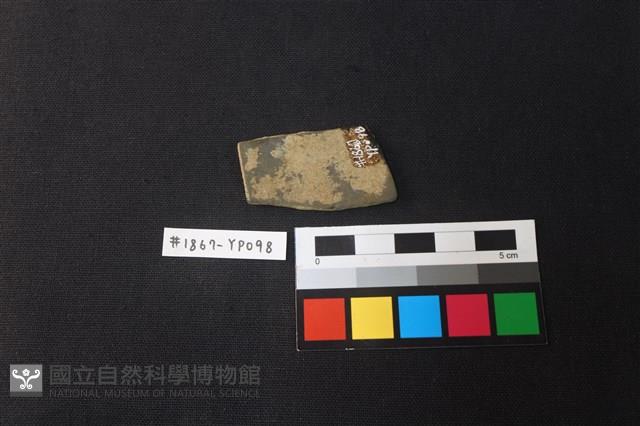 陶片藏品圖，第2張