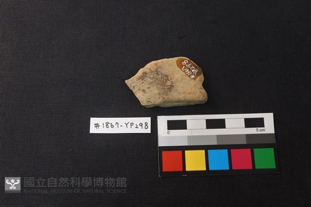 陶片藏品圖，第2張