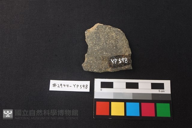 陶片藏品圖，第2張