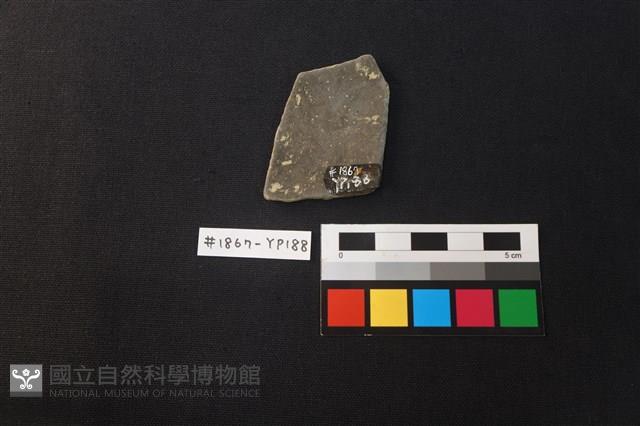 陶片藏品圖，第2張