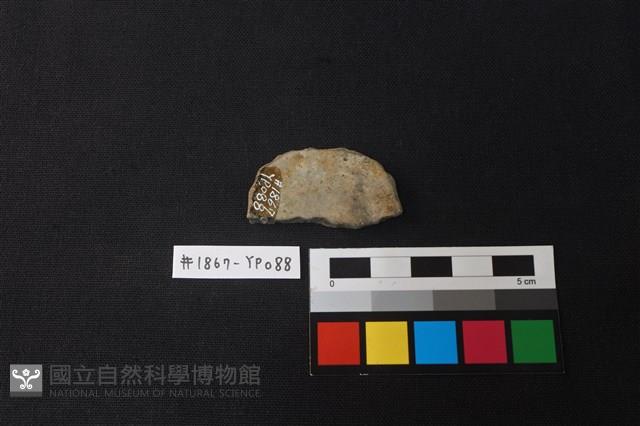 陶片藏品圖，第2張