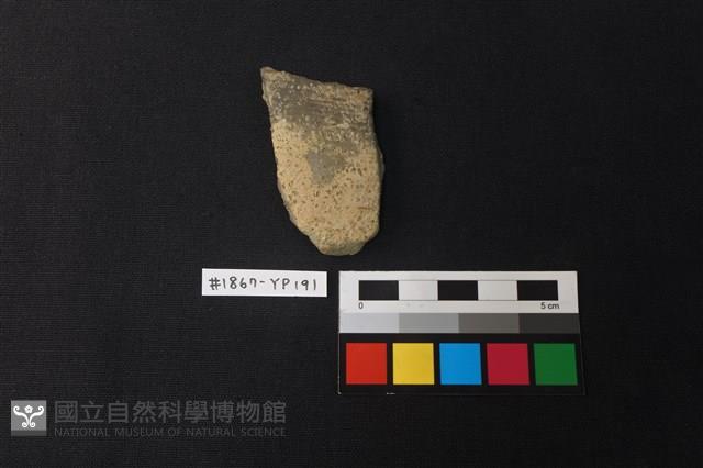 陶片藏品圖，第1張