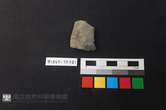 陶片藏品圖，第1張