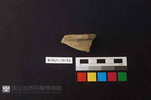陶片藏品圖，第1張