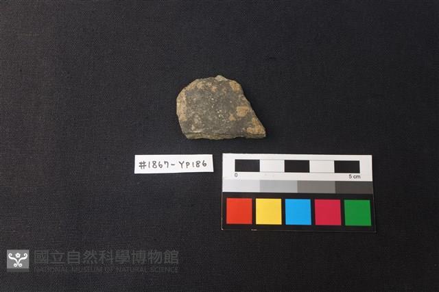 陶片藏品圖，第1張