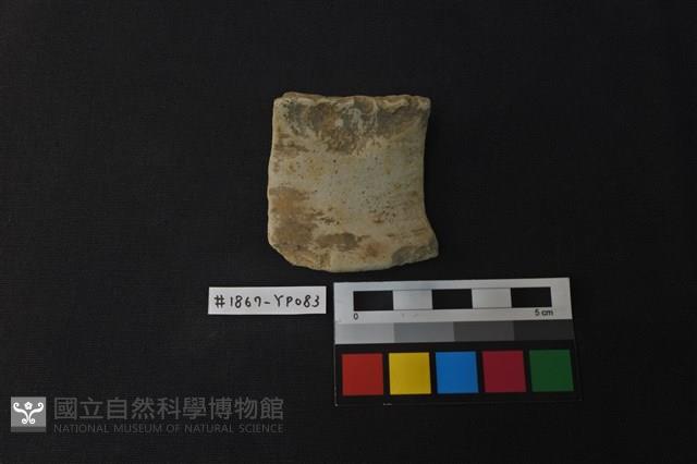 陶片藏品圖，第1張