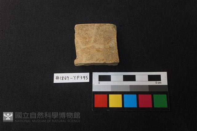 陶片藏品圖，第1張