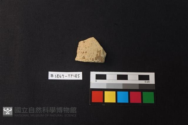 陶片藏品圖，第1張