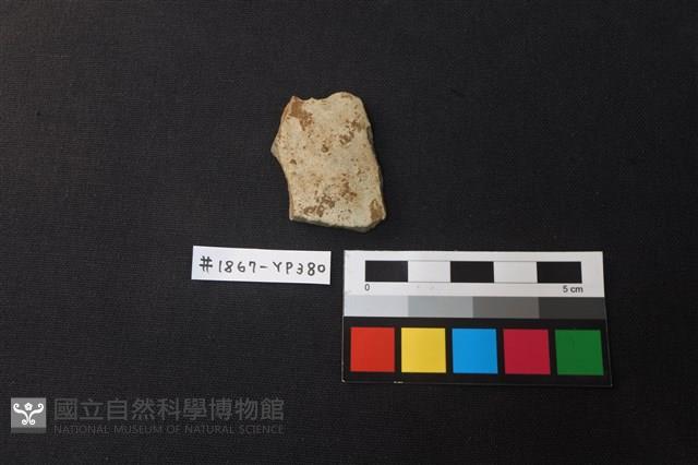 陶片藏品圖，第1張