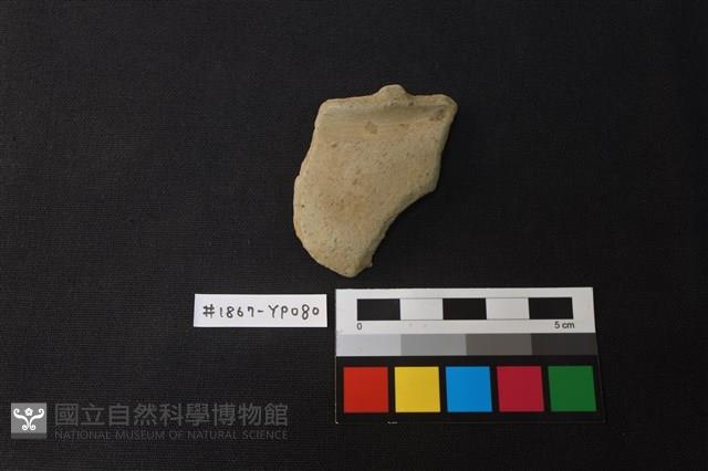 陶片藏品圖，第1張