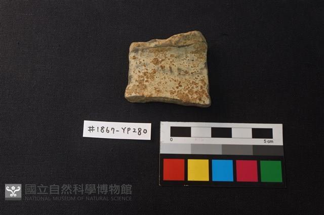 陶片藏品圖，第1張