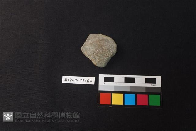 陶片藏品圖，第1張