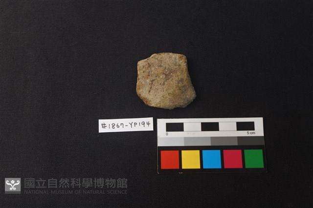 陶片藏品圖，第1張