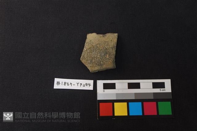 陶片藏品圖，第1張