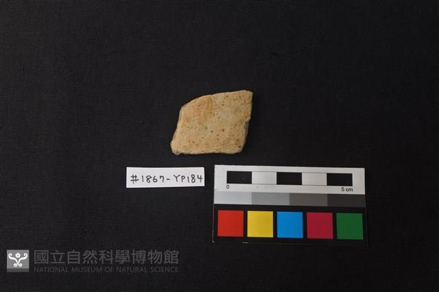 陶片藏品圖，第1張