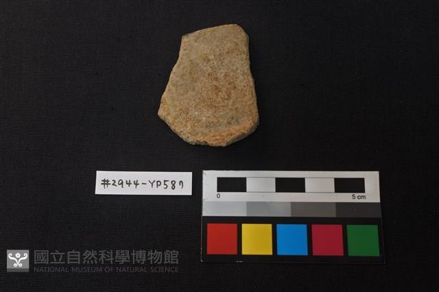 陶片藏品圖，第1張