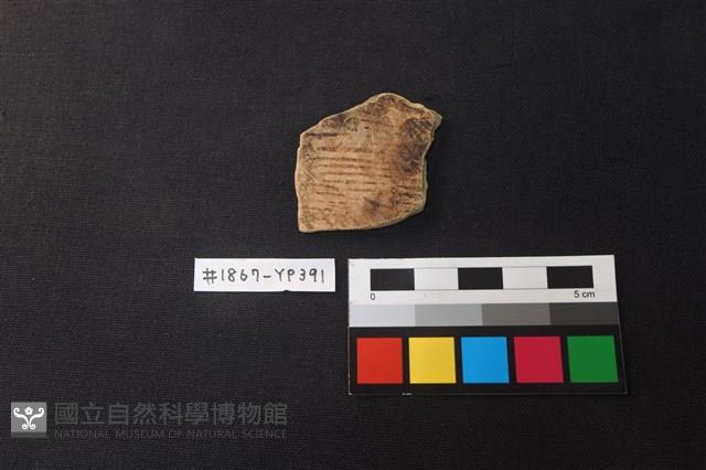 陶片藏品圖，第1張