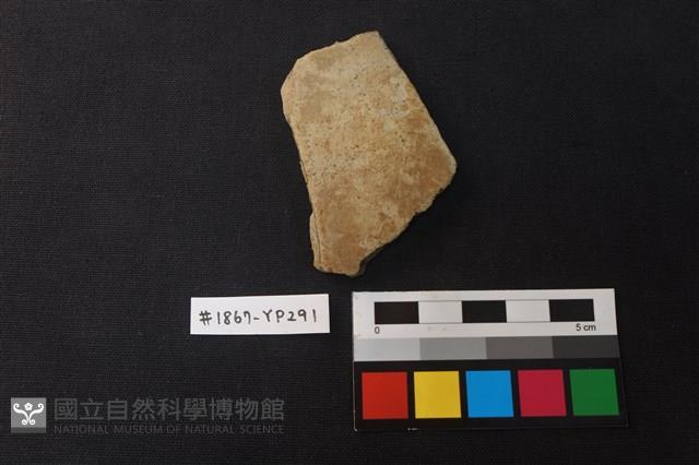 陶片藏品圖，第1張