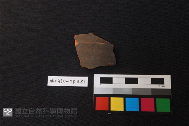 陶片藏品圖，第1張