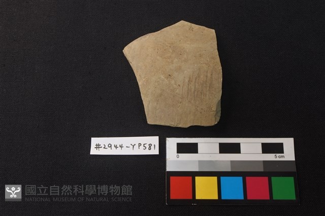 陶片藏品圖，第1張