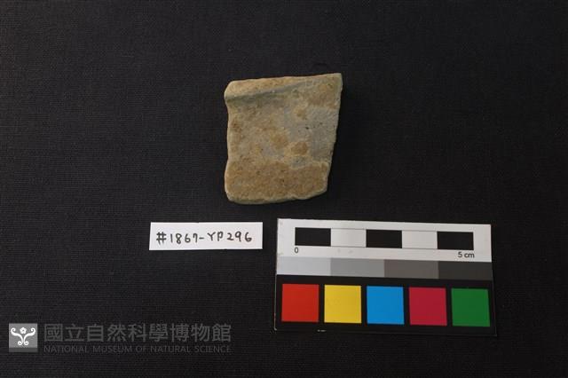 陶片藏品圖，第1張