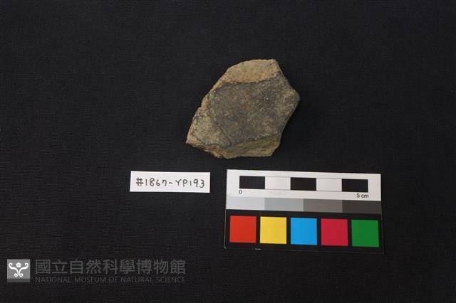 陶片藏品圖，第1張