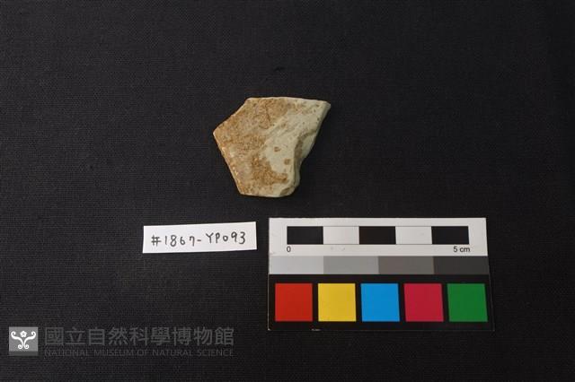 陶片藏品圖，第1張