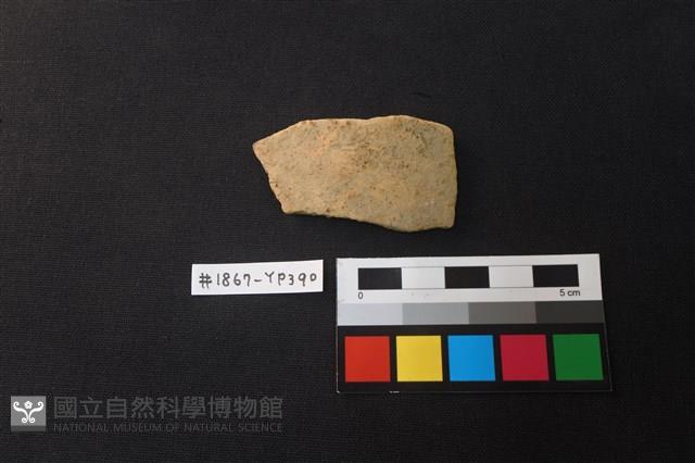 陶片藏品圖，第1張