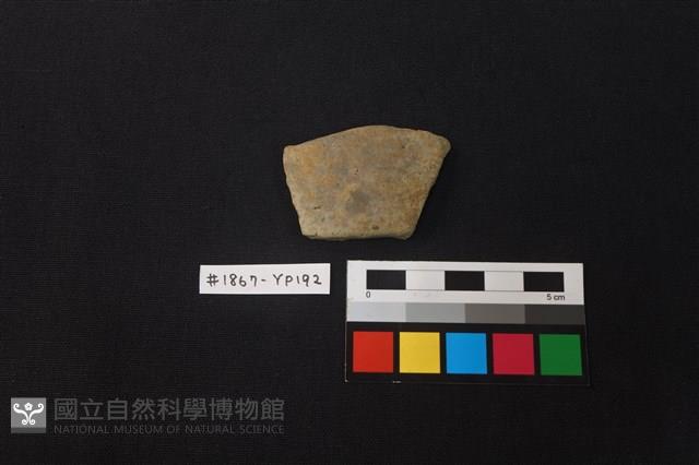 陶片藏品圖，第1張