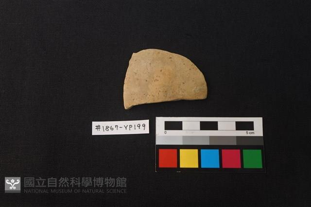 陶片藏品圖，第1張