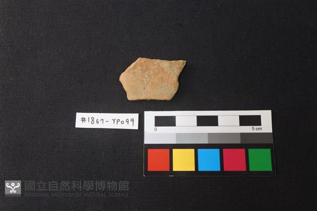 陶片藏品圖，第1張