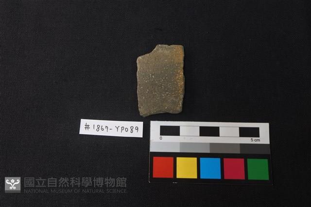 陶片藏品圖，第1張