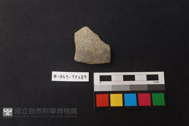 陶片藏品圖，第1張