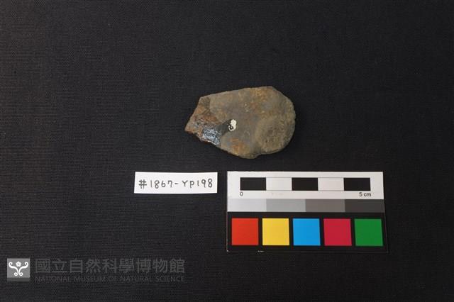 陶片藏品圖，第1張