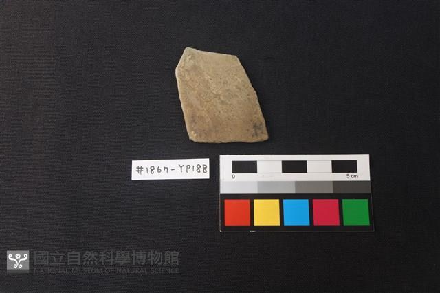 陶片藏品圖，第1張