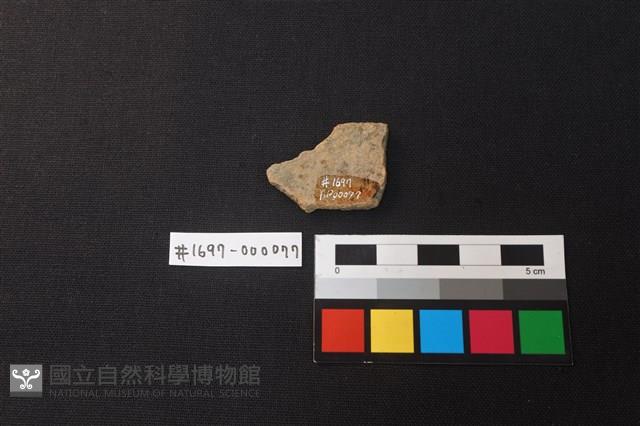 陶片藏品圖，第2張