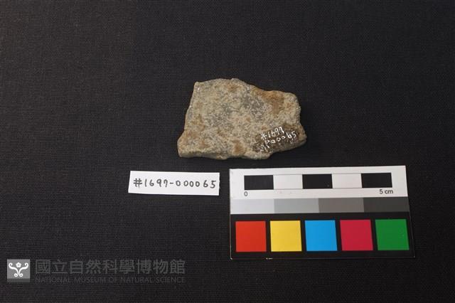 陶片藏品圖，第2張