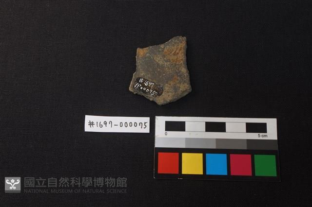 陶片藏品圖，第2張