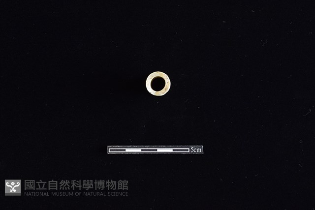 瓷管藏品圖，第2張