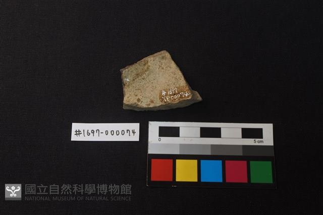 陶片藏品圖，第2張