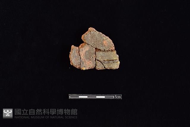 陶片藏品圖，第2張