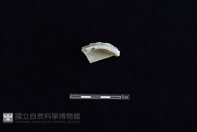 碗藏品圖，第2張