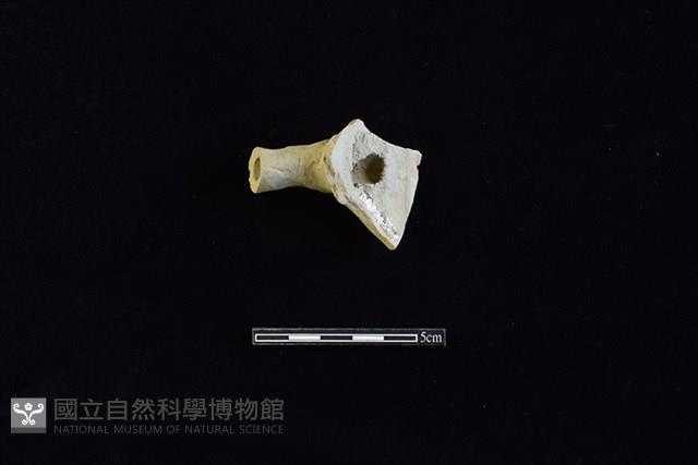 壺藏品圖，第2張