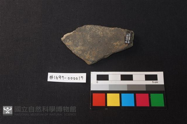陶片藏品圖，第2張