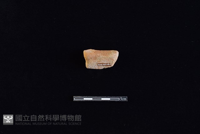 陶罐藏品圖，第2張