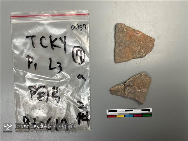 陶片藏品圖，第1張